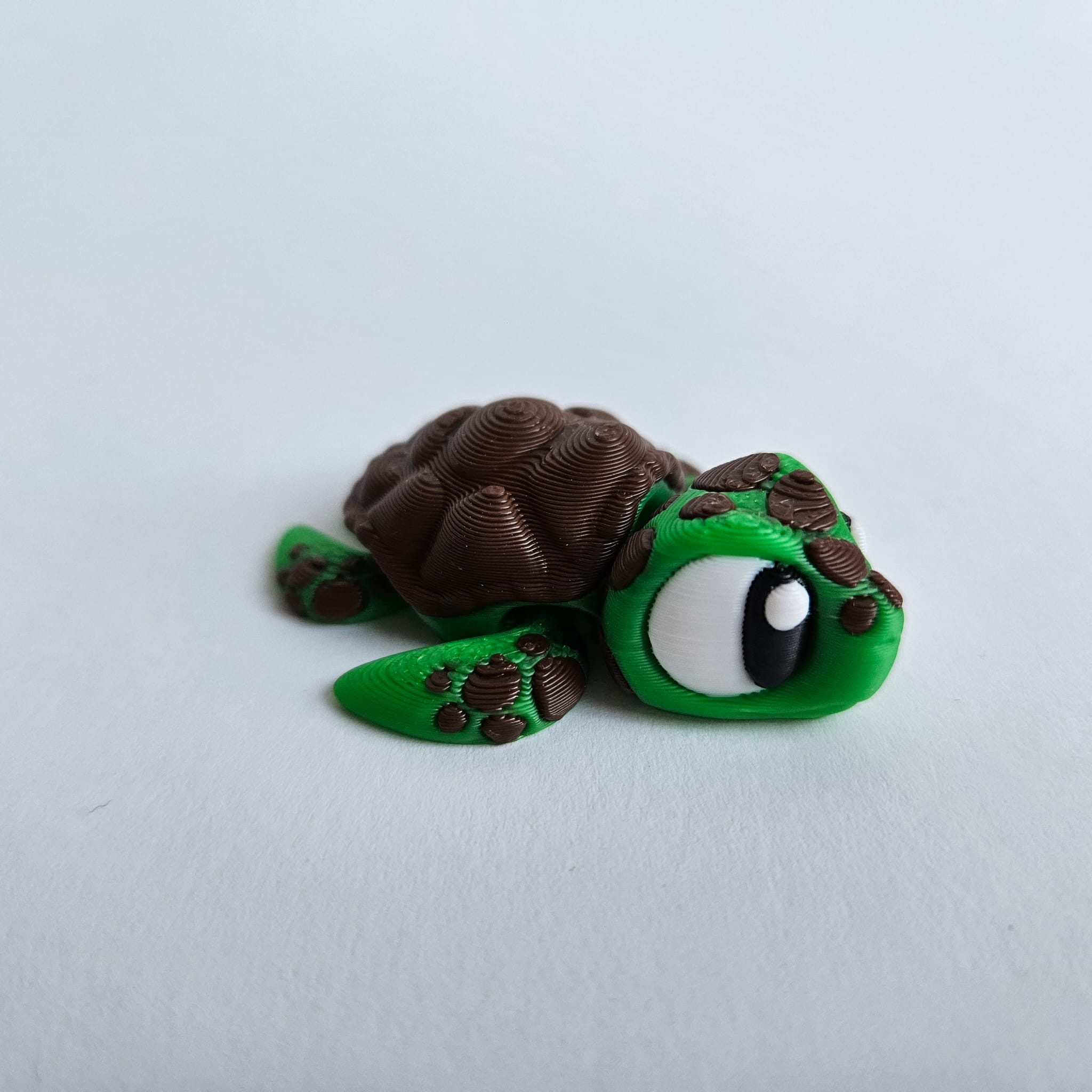 Schildi die bewegliche Schildkröte