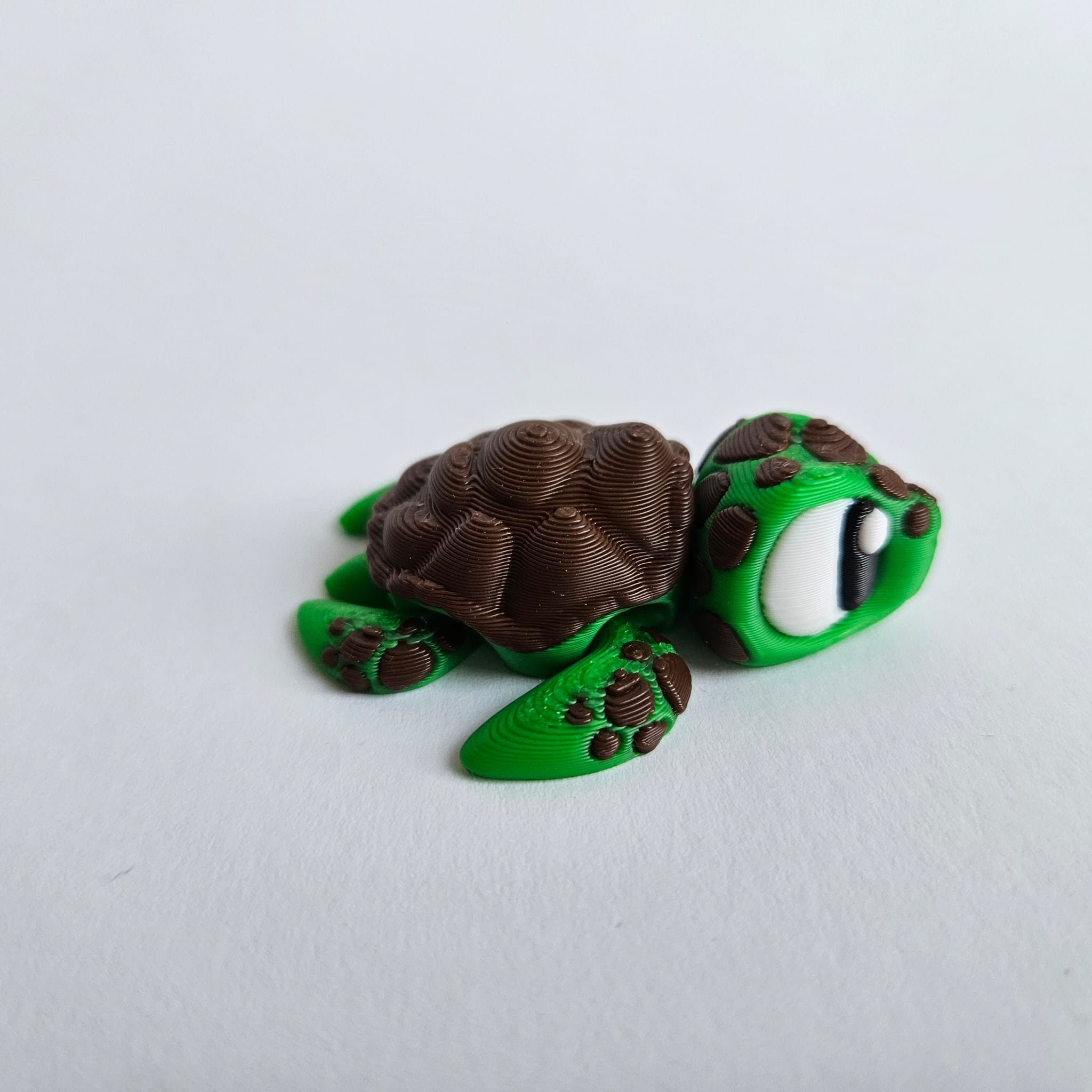 Schildi die bewegliche Schildkröte
