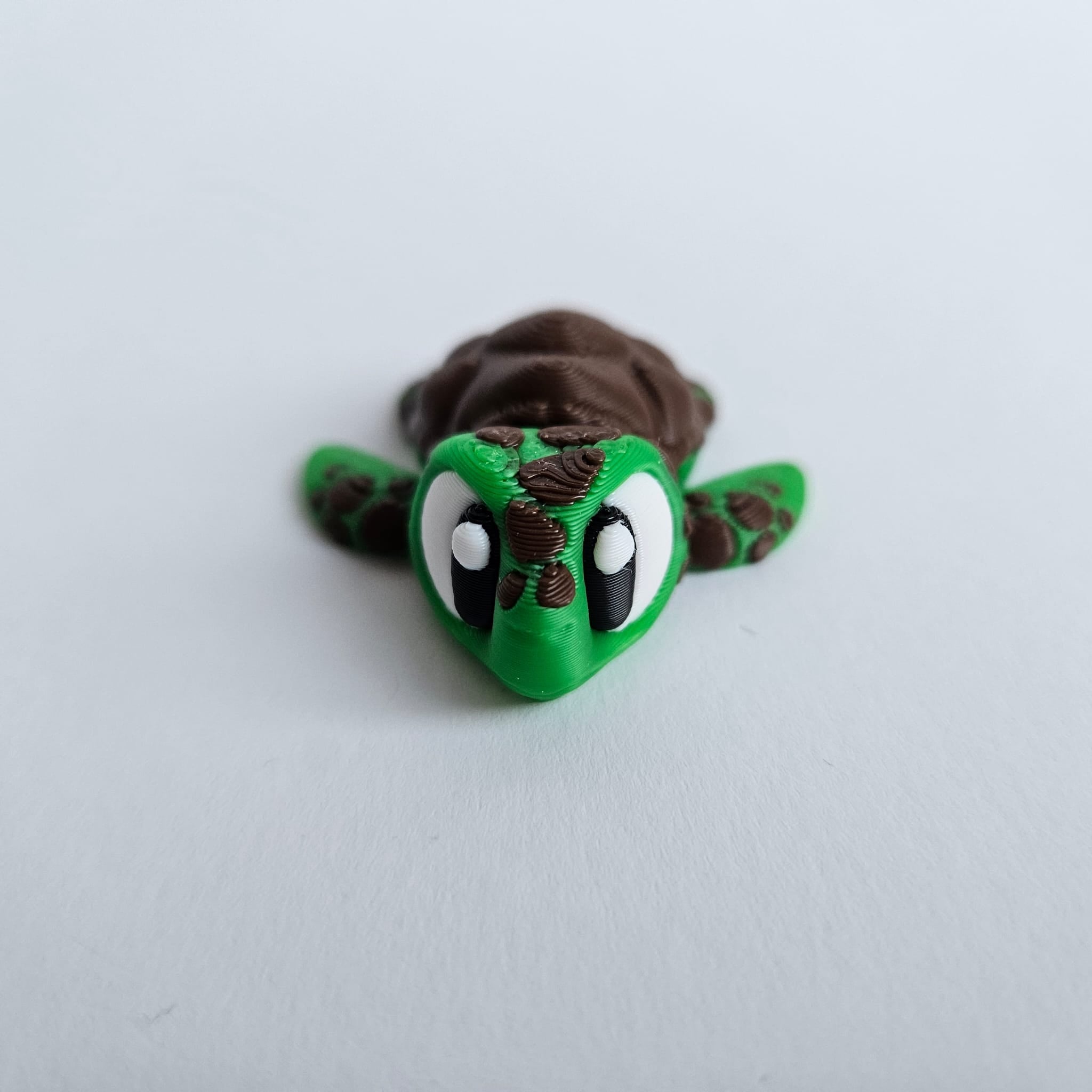 Schildi die bewegliche Schildkröte