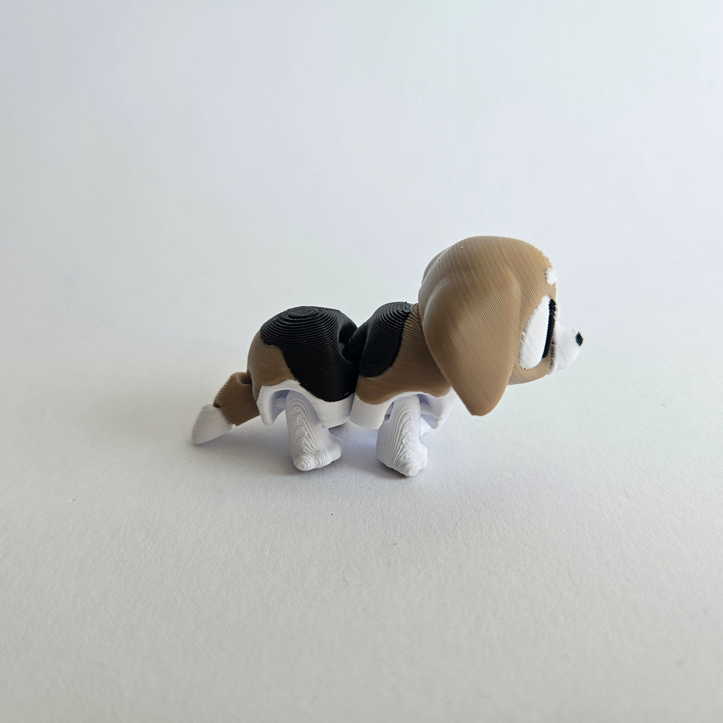 Bello der bewegliche Hund